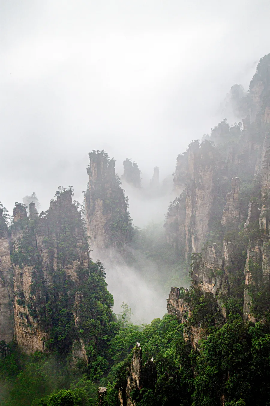 Mist drifts between forested sandstone pillars and steep cliffs in Zhangjiajie, Hunan.