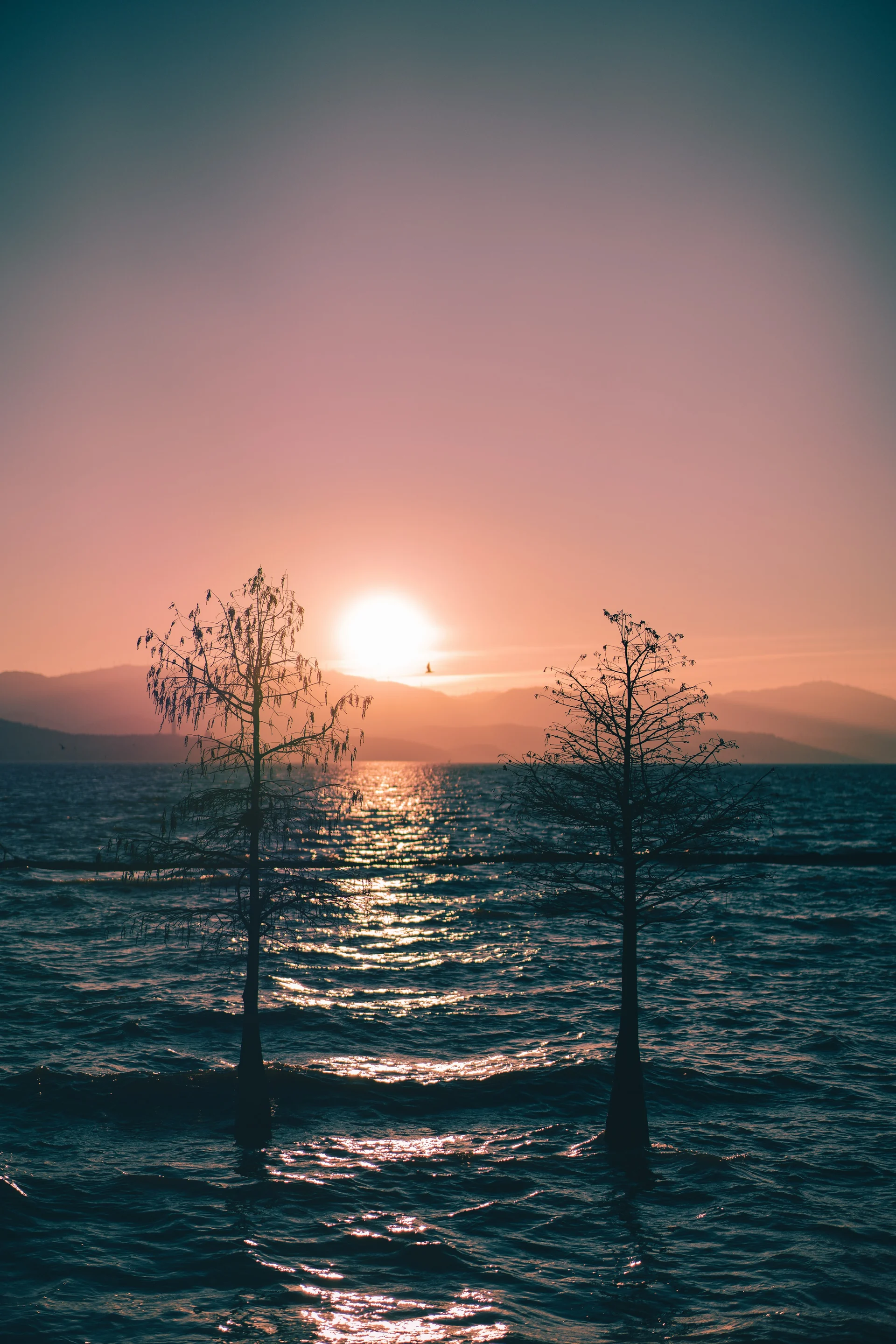 Warm light over Erhai Lake, with lakeside trees silhouetted against golden ripples.