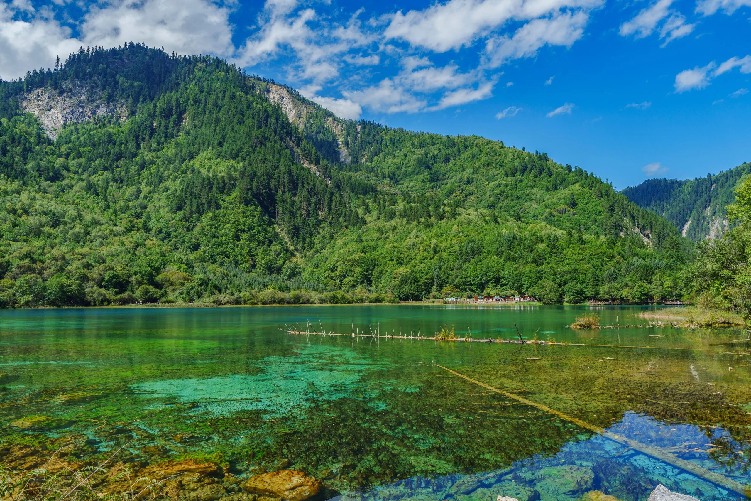 Sunlit green mountains and clear lake water in Jiuzhaigou.
