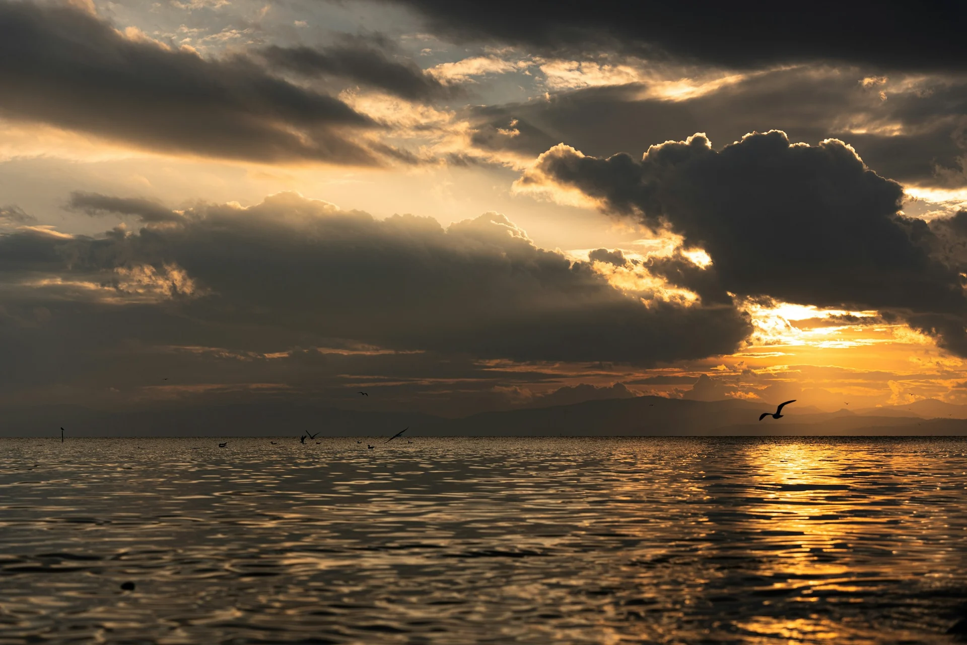 Golden light breaks through clouds above the lake at Laoyuhe Wetland Park in Kunming, with a gull in flight.