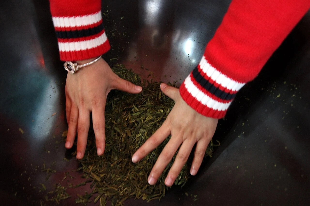 Hands in red sleeves moving tea leaves in a metal pan in Hangzhou’s Longjing tea area.