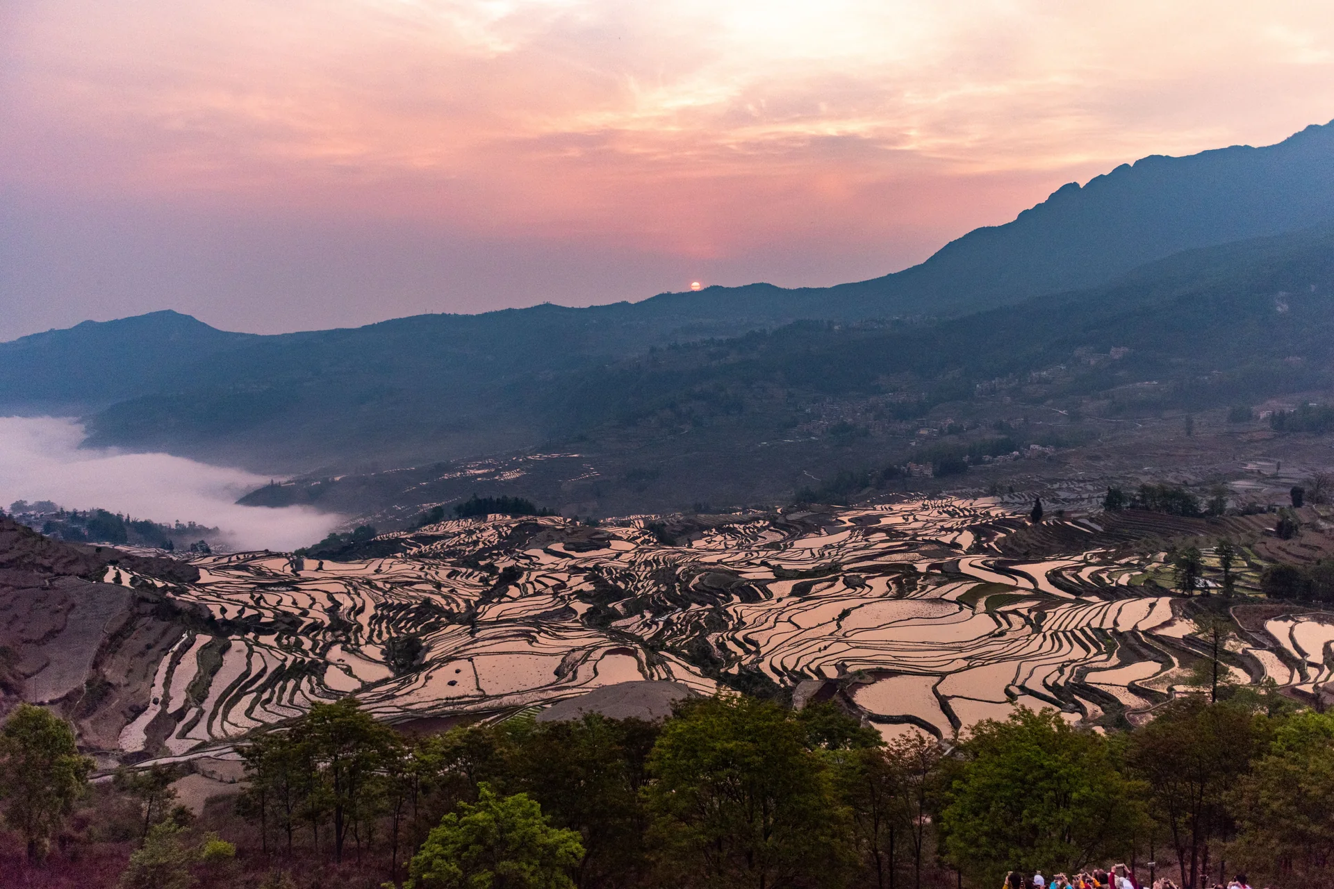 Flooded terraces follow the slopes at Duoyishu, Yuanyang, beneath a pink-blue dawn sky and receding mountain ridges.